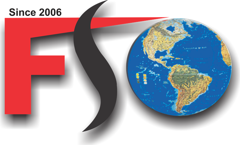 First Step Overseas logo